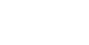 BSI 9001 Quality Management Systems Logo
